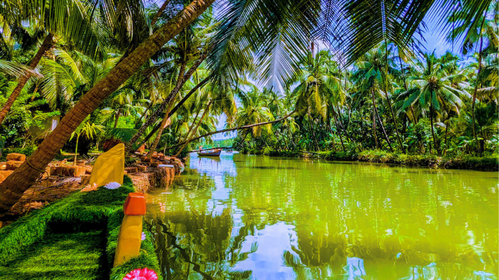 Backwater Boating Honnavar